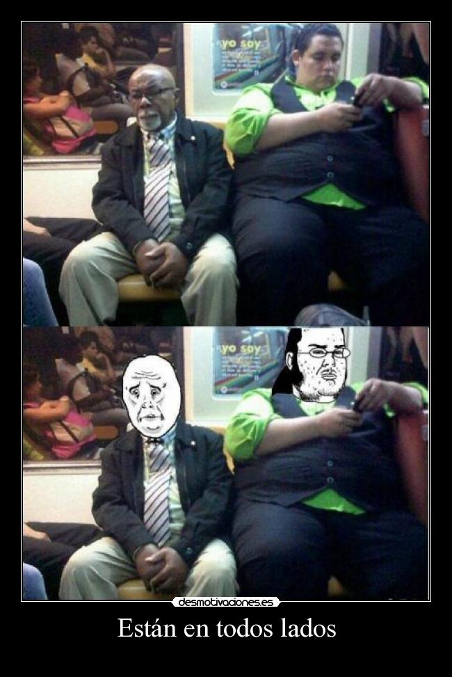 Están en todos lados -