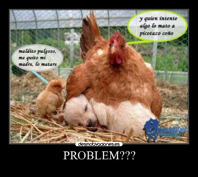 carteles problem desmotivaciones