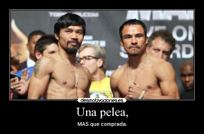 Una pelea, - MAS que comprada.