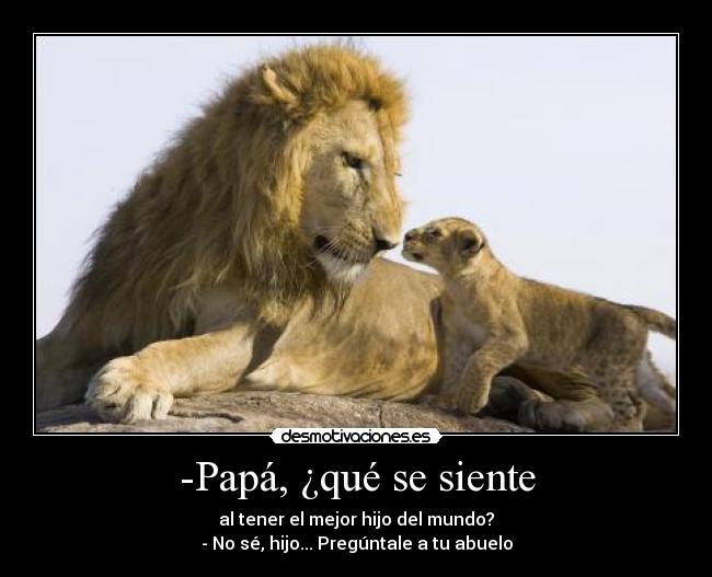 carteles padre hijo desmotivaciones