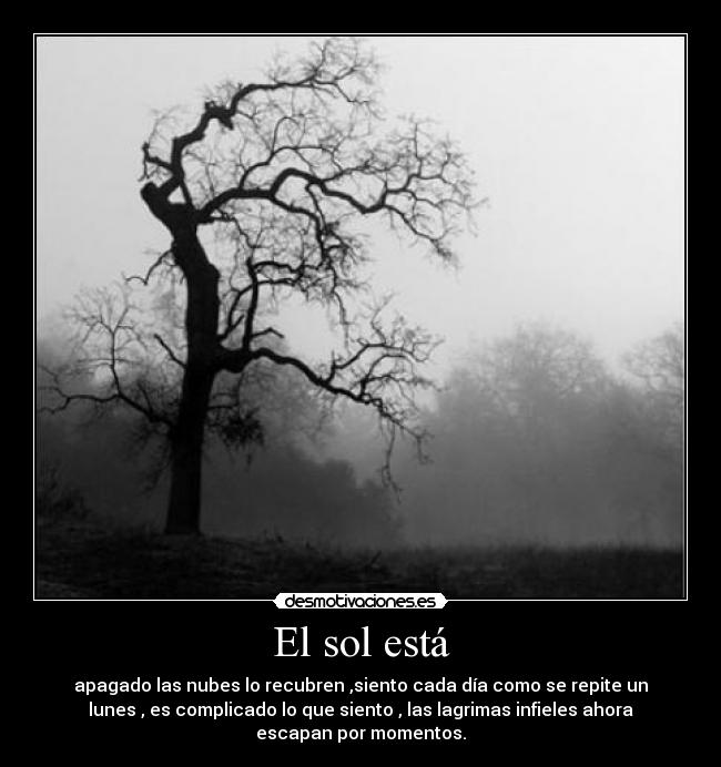 El sol está - apagado las nubes lo recubren ,siento cada día como se repite un
lunes , es complicado lo que siento , las lagrimas infieles ahora
escapan por momentos.