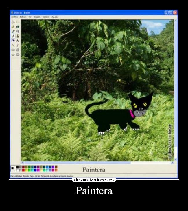 Paintera -