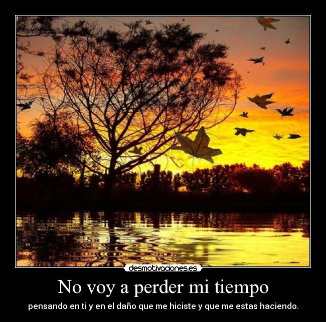 No voy a perder mi tiempo - pensando en ti y en el daño que me hiciste y que me estas haciendo.