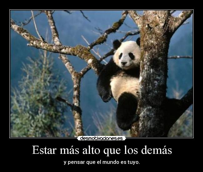 Estar más alto que los demás - y pensar que el mundo es tuyo.
