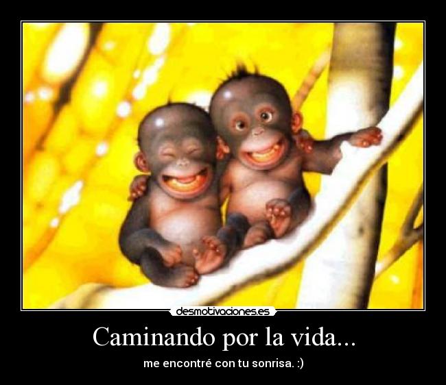 Caminando por la vida... -
