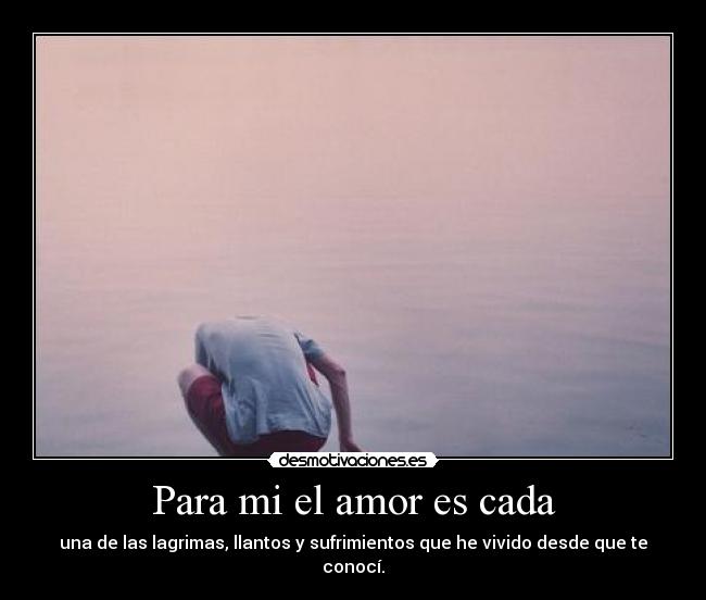 Para mi el amor es cada - una de las lagrimas, llantos y sufrimientos que he vivido desde que te conocí.