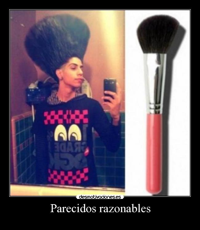 Parecidos razonables - 