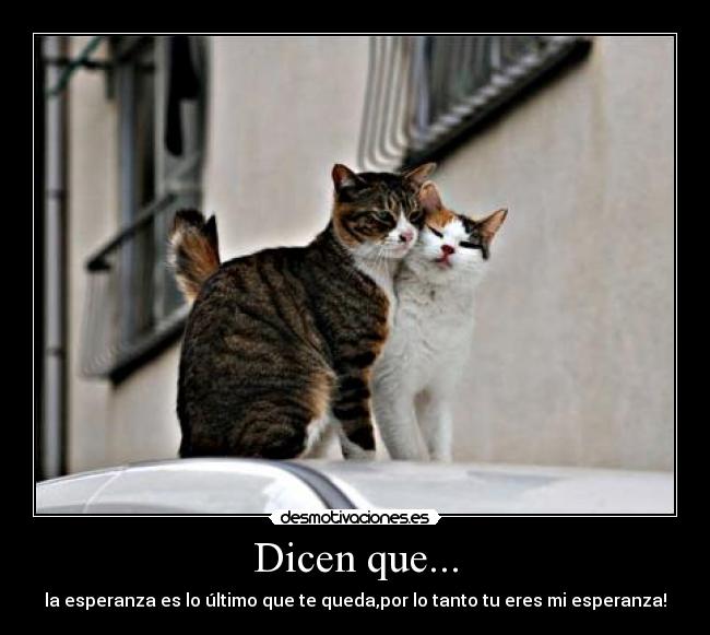 Dicen que... - 