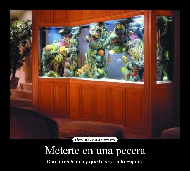 Meterte en una pecera - Con otros 6 más y que te vea toda España