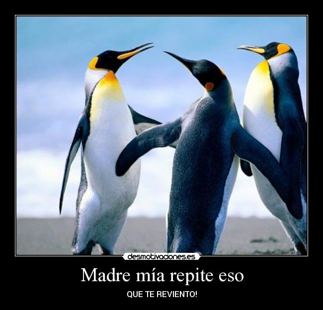 Madre mía repite eso -