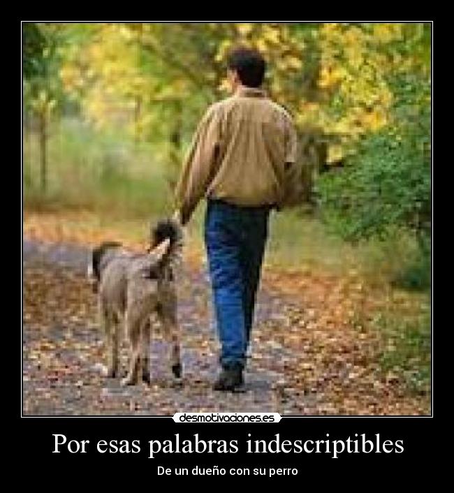 Por esas palabras indescriptibles - De un dueño con su perro