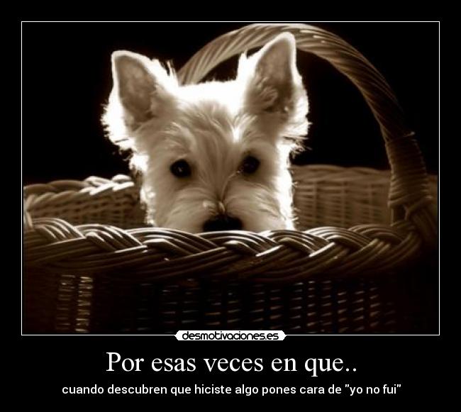 carteles desmotivaciones