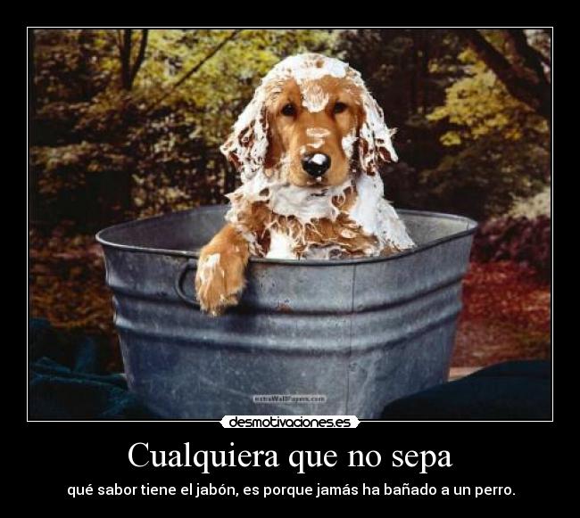 Cualquiera que no sepa -