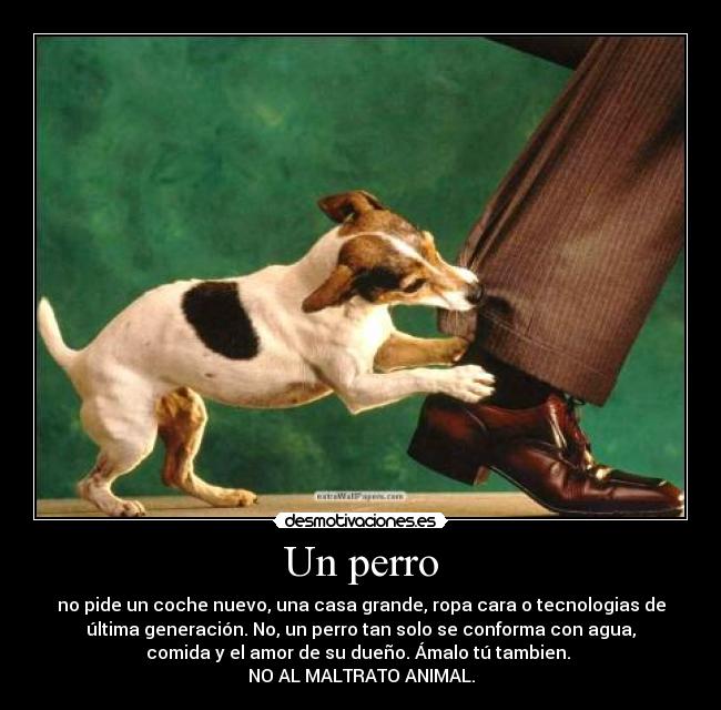 Un perro - no pide un coche nuevo, una casa grande, ropa cara o tecnologias de
última generación. No, un perro tan solo se conforma con agua,
comida y el amor de su dueño. Ámalo tú tambien.
NO AL MALTRATO ANIMAL.