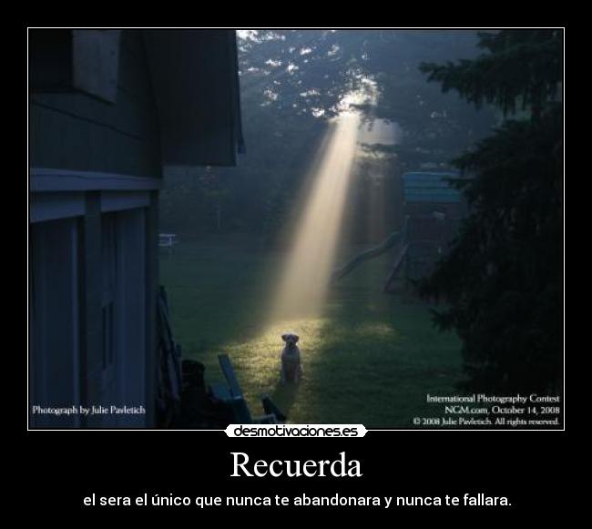 carteles perros mejor amigo del hombre desmotivaciones