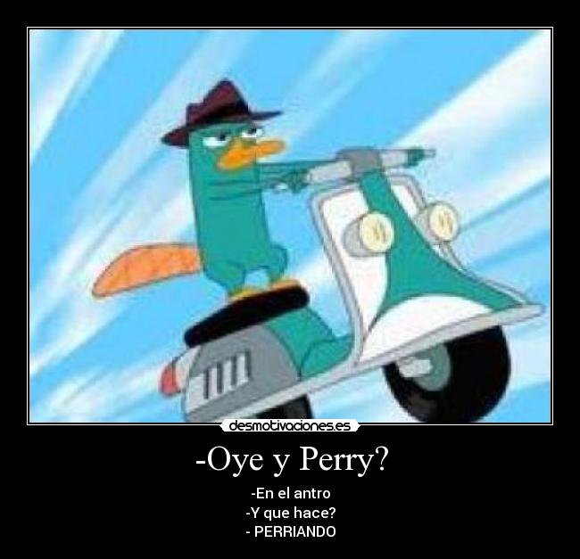 -Oye y Perry? - -En el antro
-Y que hace?
- PERRIANDO