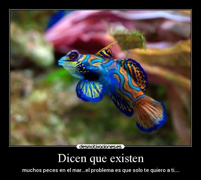 Dicen que existen -