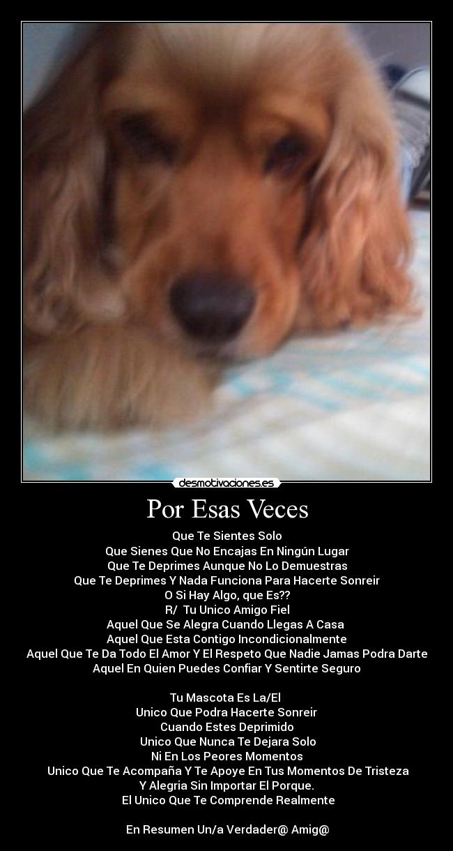 Por Esas Veces - Que Te Sientes Solo
Que Sienes Que No Encajas En Ningún Lugar
Que Te Deprimes Aunque No Lo Demuestras
Que Te Deprimes Y Nada Funciona Para Hacerte Sonreir
O Si Hay Algo, que Es??
R/ Tu Unico Amigo Fiel
Aquel Que Se Alegra Cuando Llegas A Casa
Aquel Que Esta Contigo Incondicionalmente
Aquel Que Te Da Todo El Amor Y El Respeto Que Nadie Jamas Podra Darte
Aquel En Quien Puedes Confiar Y Sentirte Seguro
Tu Mascota Es La/El
►Unico Que Podra Hacerte Sonreir
Cuando Estes Deprimido
►Unico Que Nunca Te Dejara Solo
Ni En Los Peores Momentos
►Unico Que Te Acompaña Y Te Apoye En Tus Momentos De Tristeza
Y Alegria Sin Importar El Porque.
►El Unico Que Te Comprende Realmente
☼En Resumen Un/a Verdader@ Amig@☼