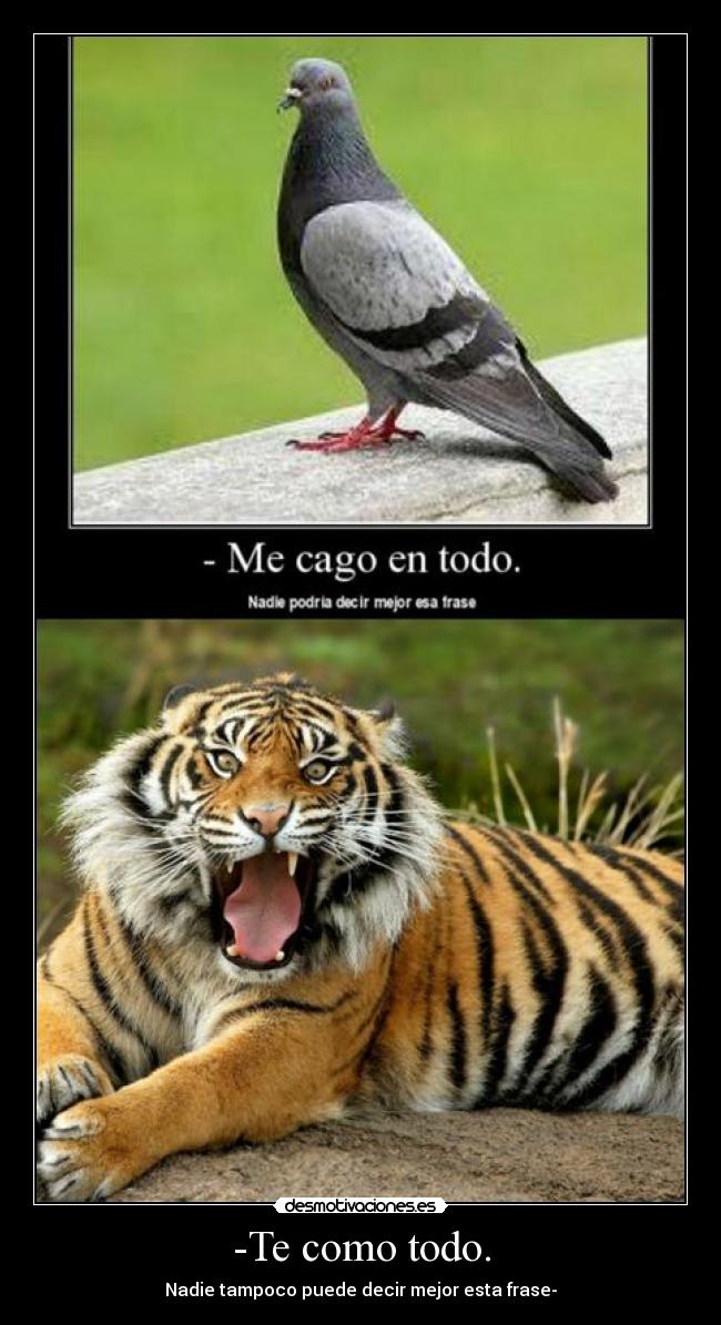 -Te como todo. - Nadie tampoco puede decir mejor esta frase-