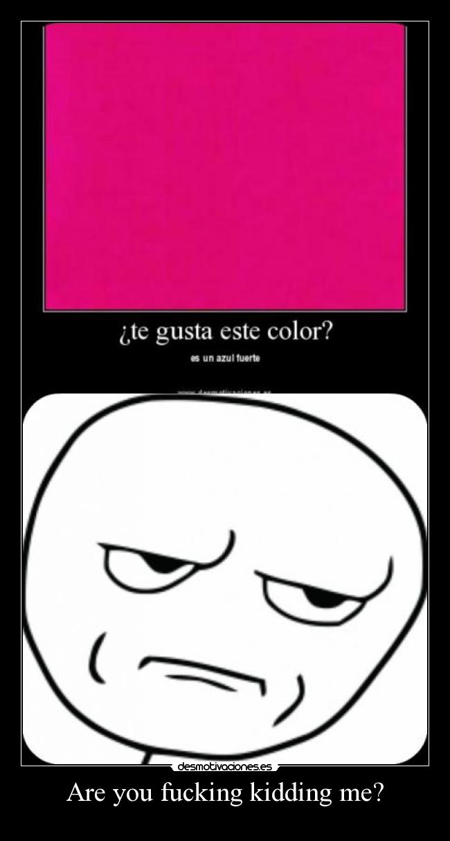 Are you fucking kidding me? -