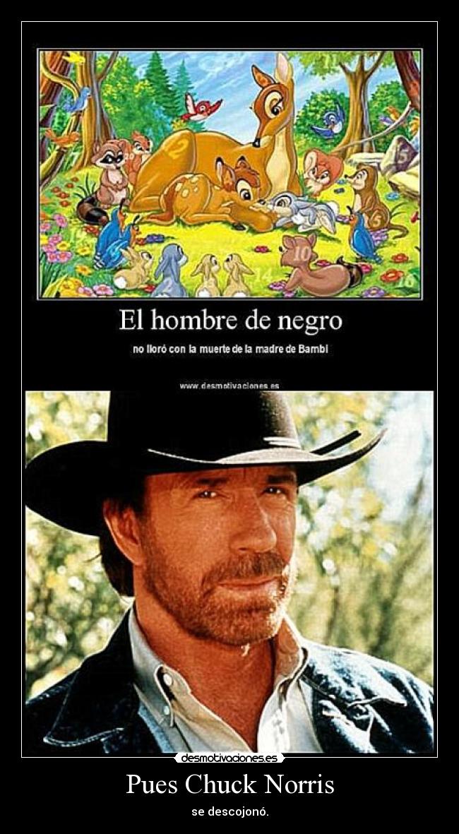Pues Chuck Norris -