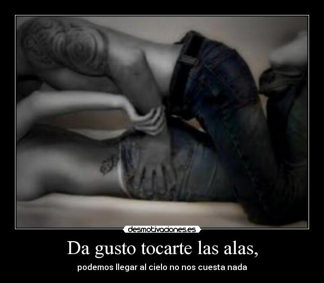 Da gusto tocarte las alas, -