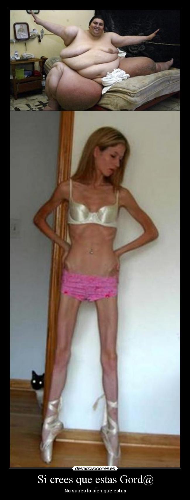 Si crees que estas Gord@ - No sabes lo bien que estas