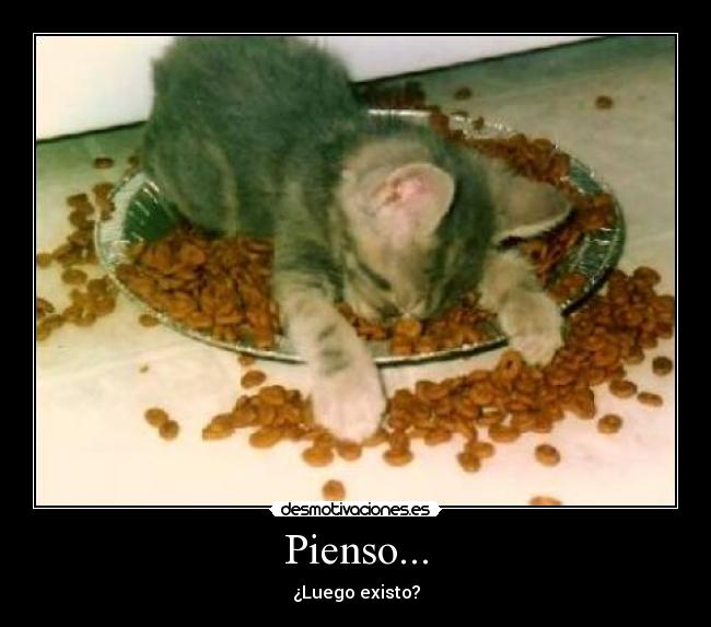 Pienso... - 