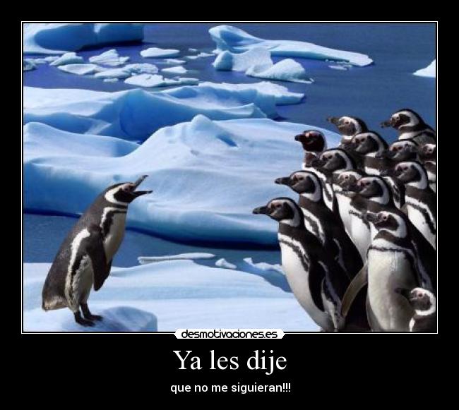 Ya les dije - que no me siguieran!!!