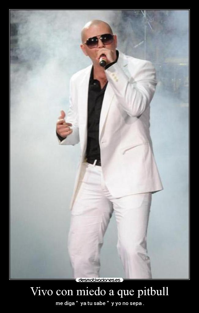 Vivo con miedo a que pitbull - me diga ya tu sabe y yo no sepa .