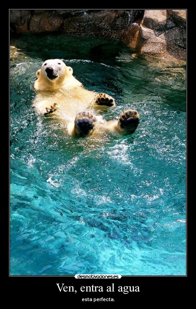 Ven, entra al agua - esta perfecta.