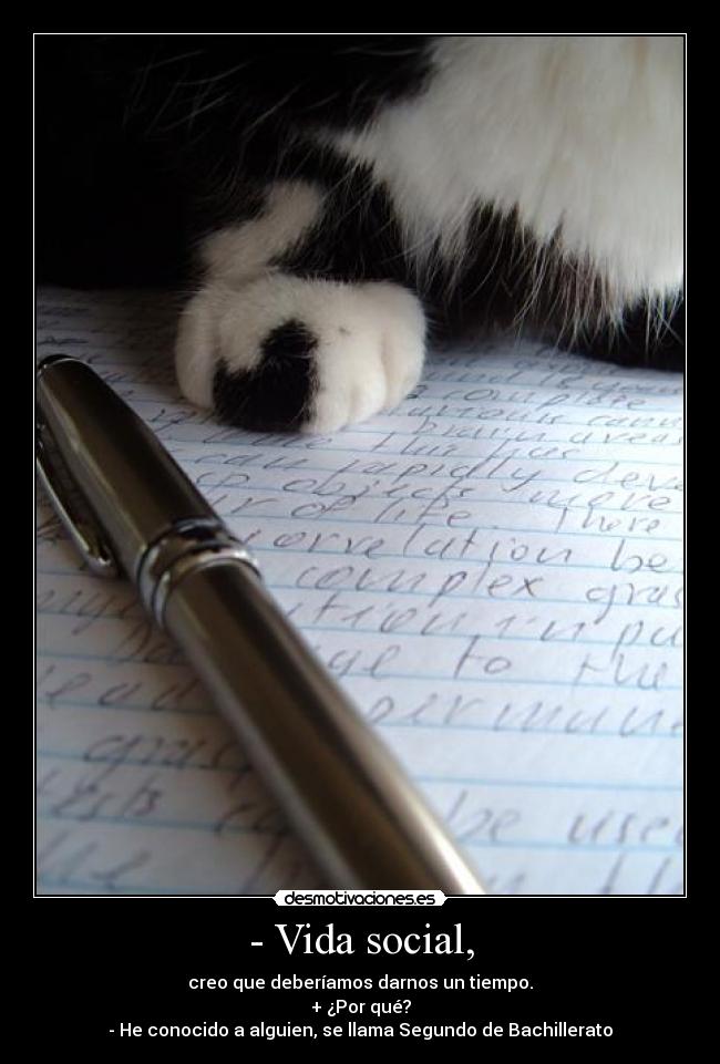 - Vida social, - 