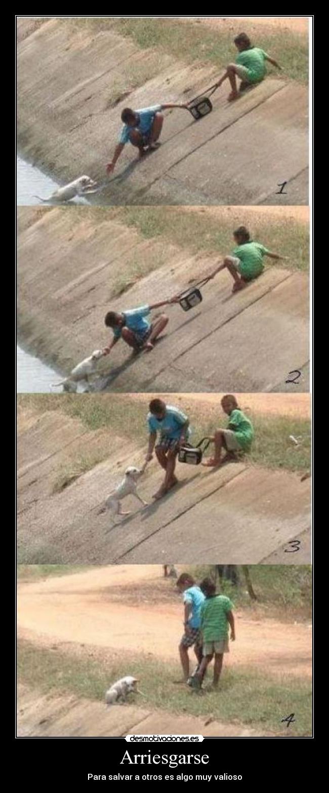 Arriesgarse - 