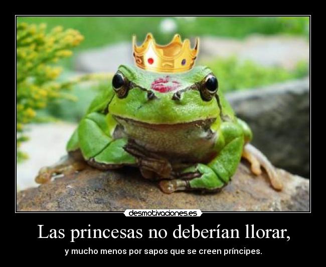 Las princesas no deberían llorar, - y mucho menos por sapos que se creen príncipes.