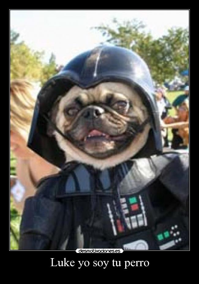 Luke yo soy tu perro - 