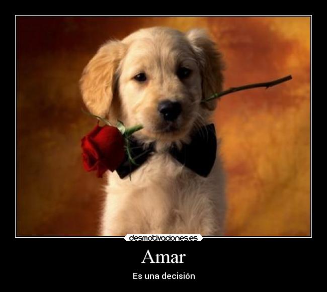 Amar -