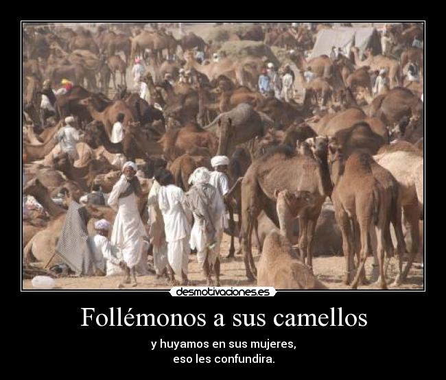 Follémonos a sus camellos - 