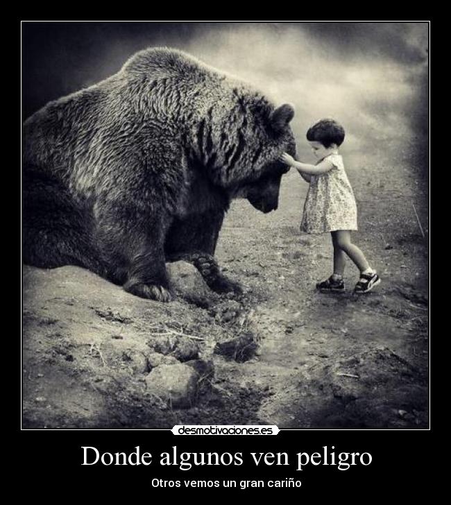 Donde algunos ven peligro - 