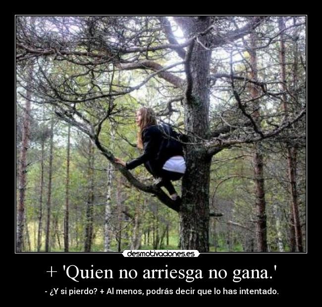+ Quien no arriesga no gana. - 