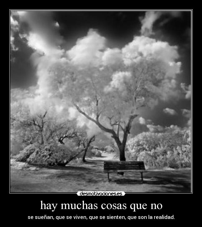 hay muchas cosas que no - 