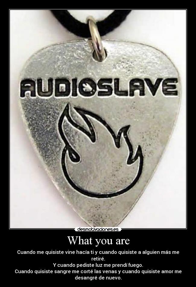 carteles audio slave what you are desmotivaciones