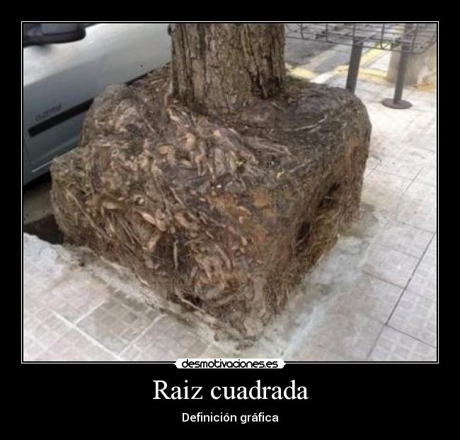 Raiz cuadrada - 