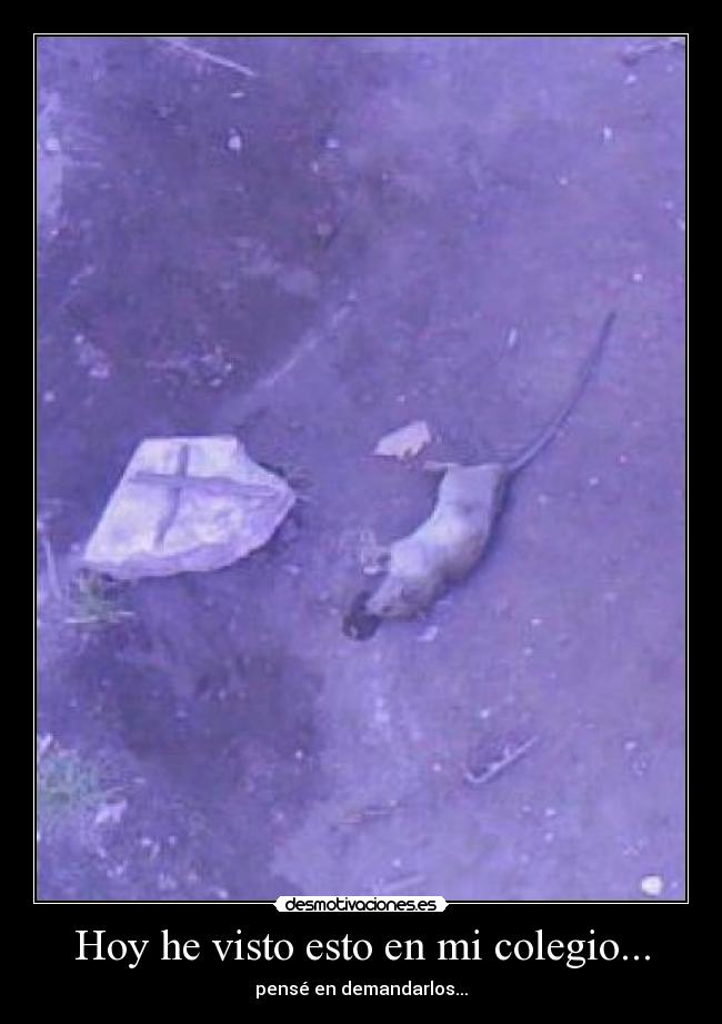 Hoy he visto esto en mi colegio... - pensé en demandarlos...