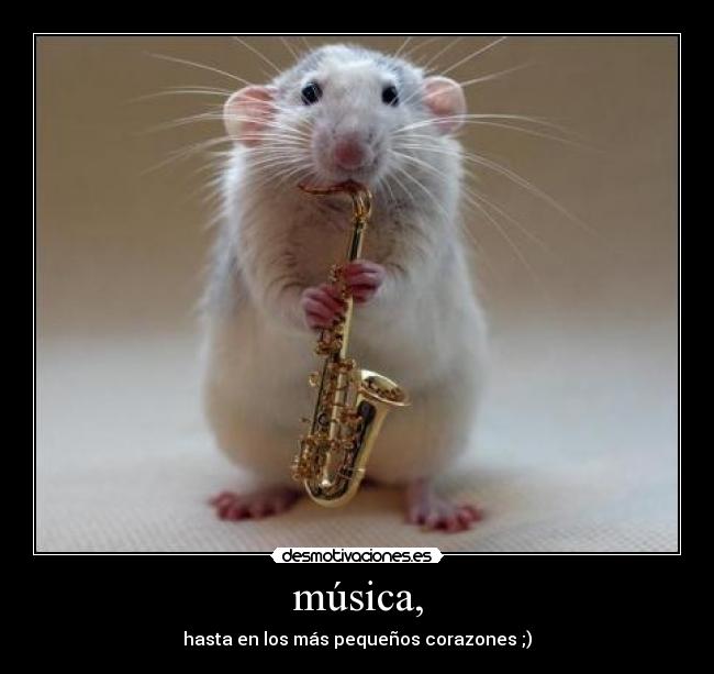 música, - 