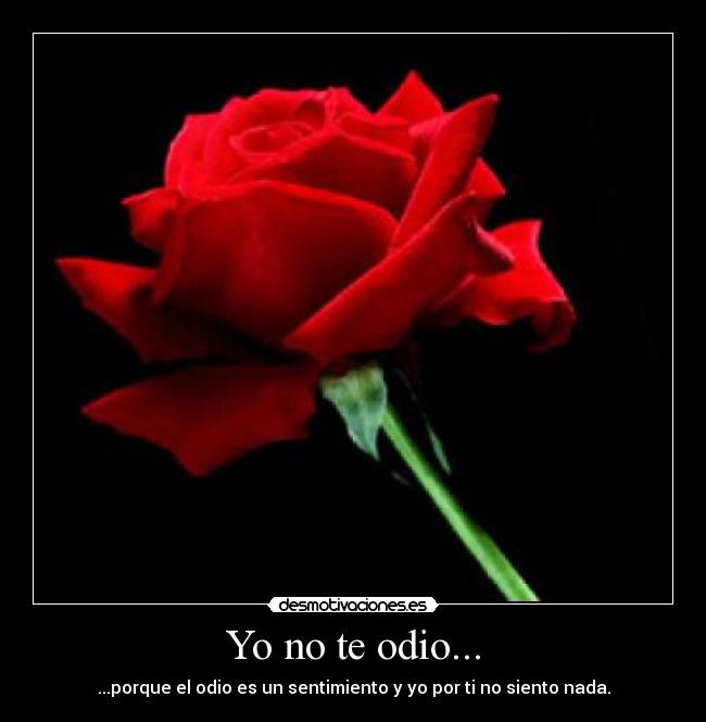 Yo no te odio... -