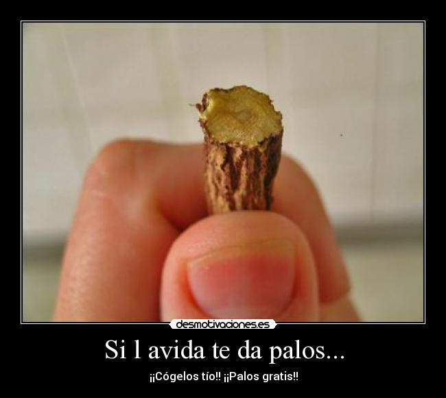 Si l avida te da palos... - ¡¡Cógelos tío!! ¡¡Palos gratis!!