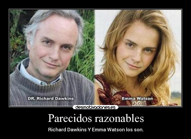 Parecidos razonables -