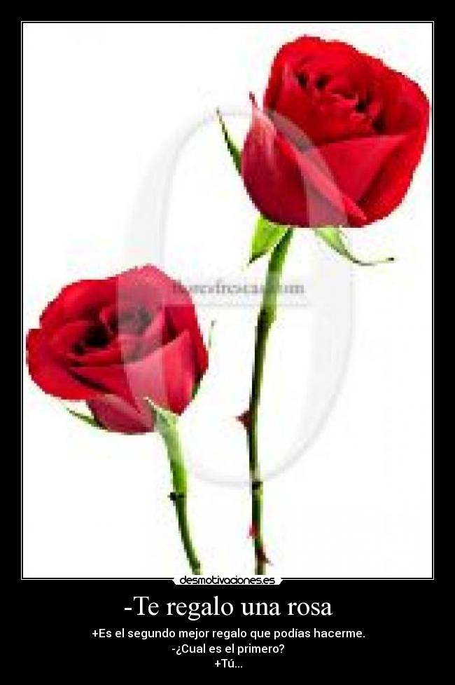 -Te regalo una rosa - +Es el segundo mejor regalo que podías hacerme.
-¿Cual es el primero?
+Tú...