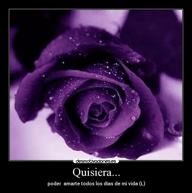 Quisiera... - 