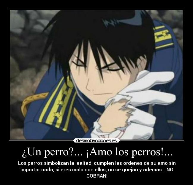 carteles roy mustang full metal alchemist perros amo cobran anime otaku desmotivaciones